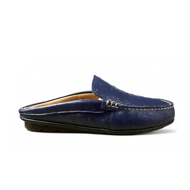Women Trevor Blue Printed Mule