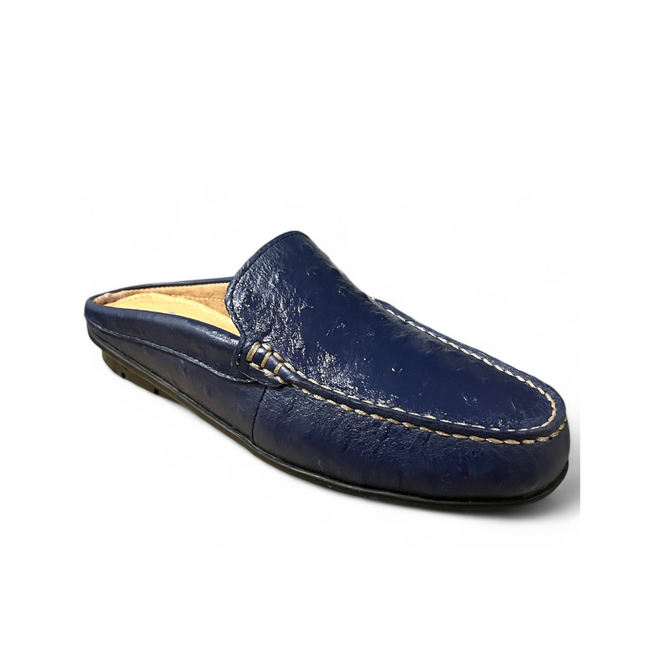 Women Trevor Blue Printed Mule