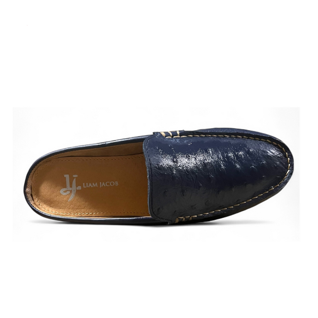Women Trevor Blue Printed Mule