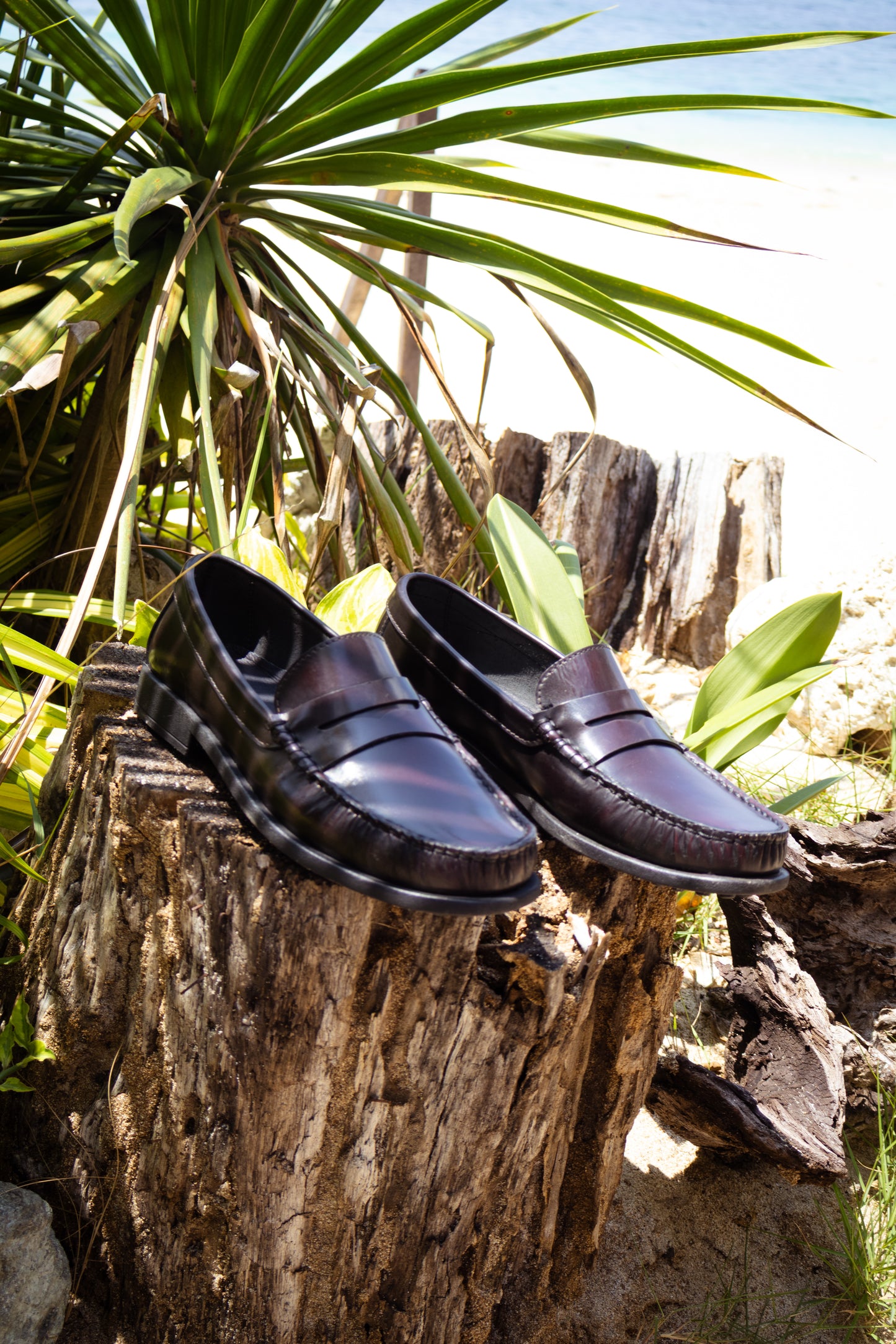 Men's Penny Loafer Burgundy